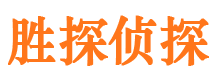 莱山侦探公司